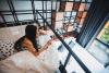 Book a Bed Poshtel - SHA Plus