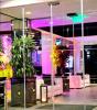 The Ciao Stelio Deluxe Hotel (Adults Only)