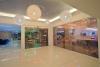 Nelia Beach Hotel & Spa