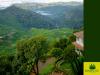 Blackberry Hills Munnar- Nature Resort & Spa