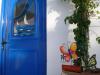 Bouganville Studios Stegna