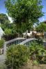 Gila's Garden
