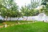 The Foria House by House In Naples