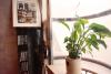 Able Guesthouse Hongdae 2