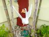 The Executive Villa Inn & Suites
