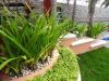 The Executive Villa Inn & Suites