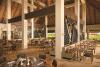 Dreams Onyx Resort & Spa - All Inclusive