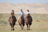 Mongolian Vision Tours