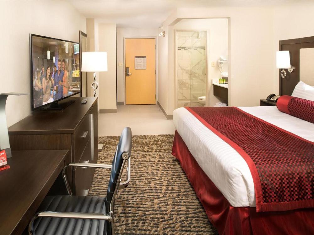 Room Image 3