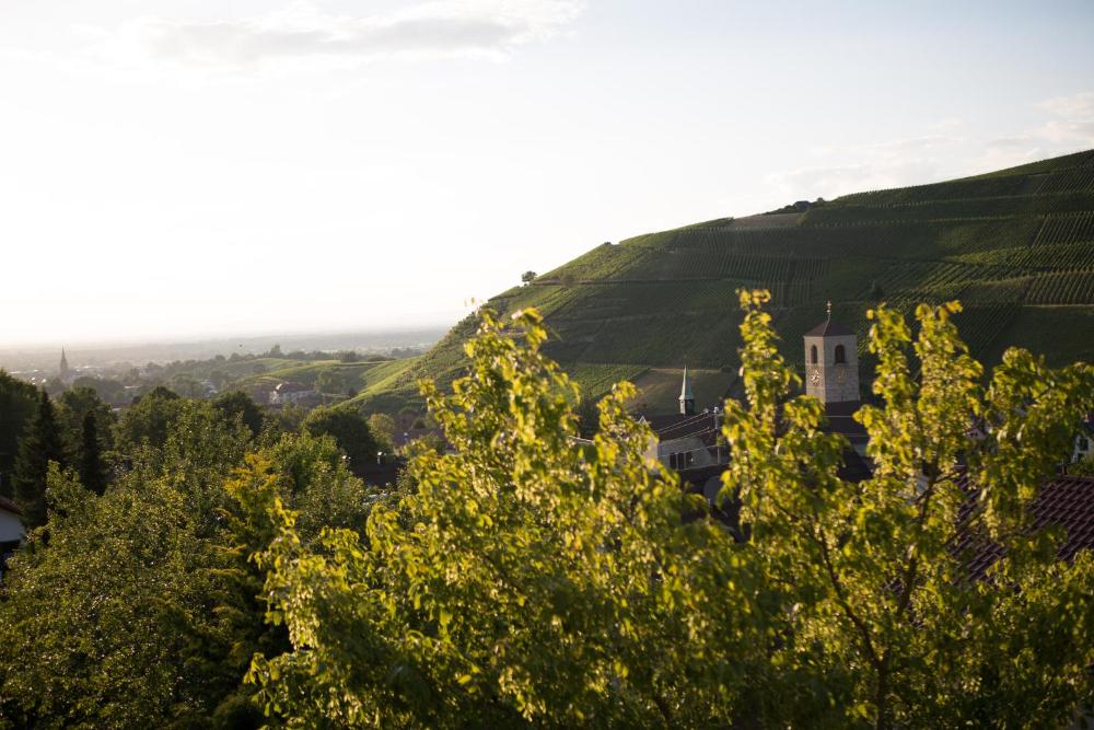 Photo - Hotel Heiligenstein