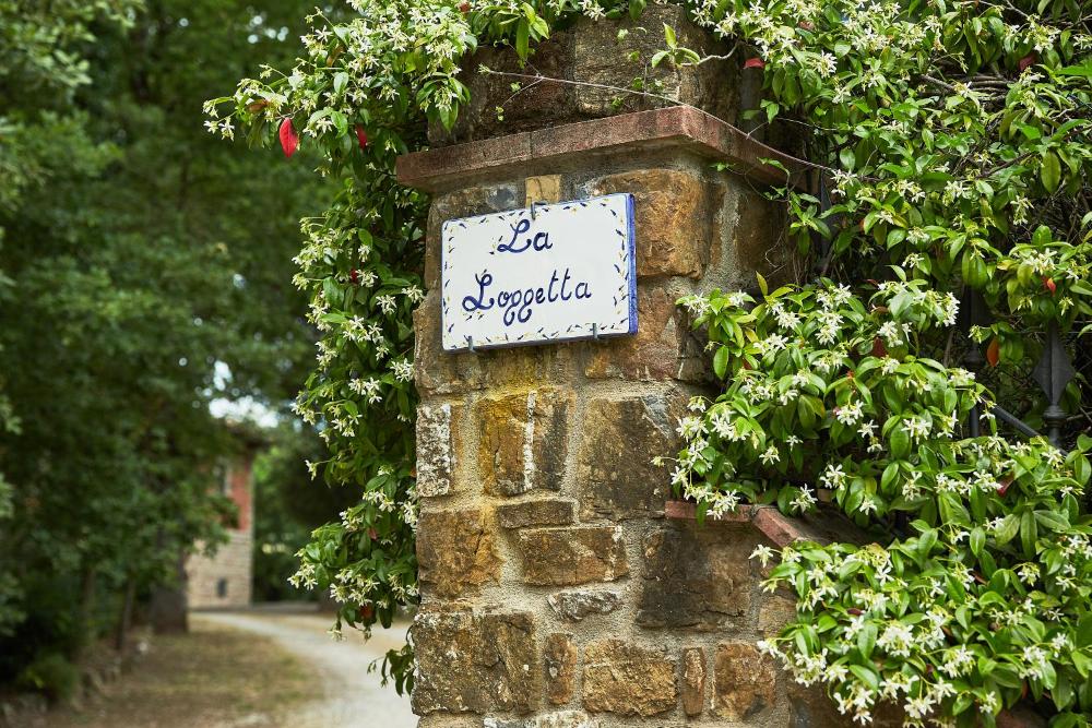 Photo - La Loggetta - Chianti apartments