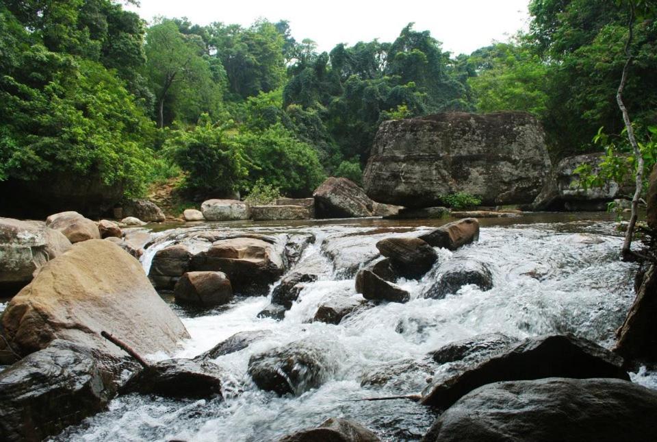 Green Nest Holiday Bungalow - Riveston, Matale Prices, photos, reviews