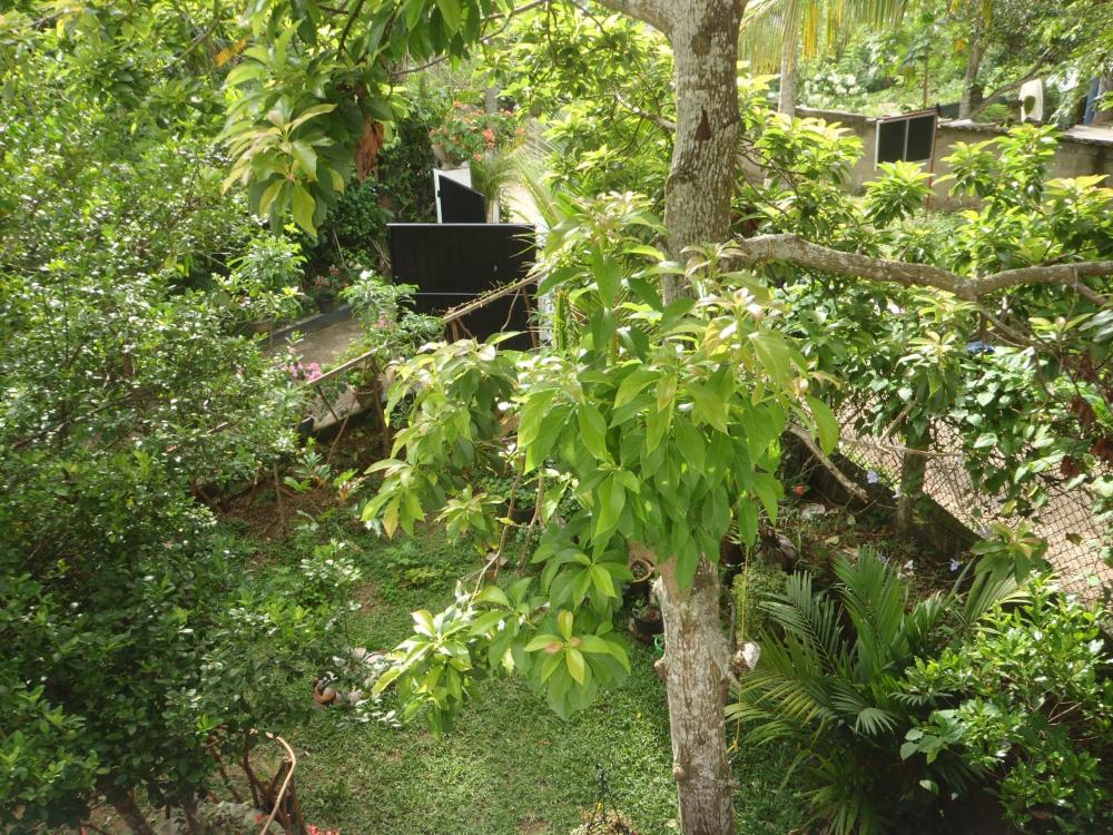 untagged