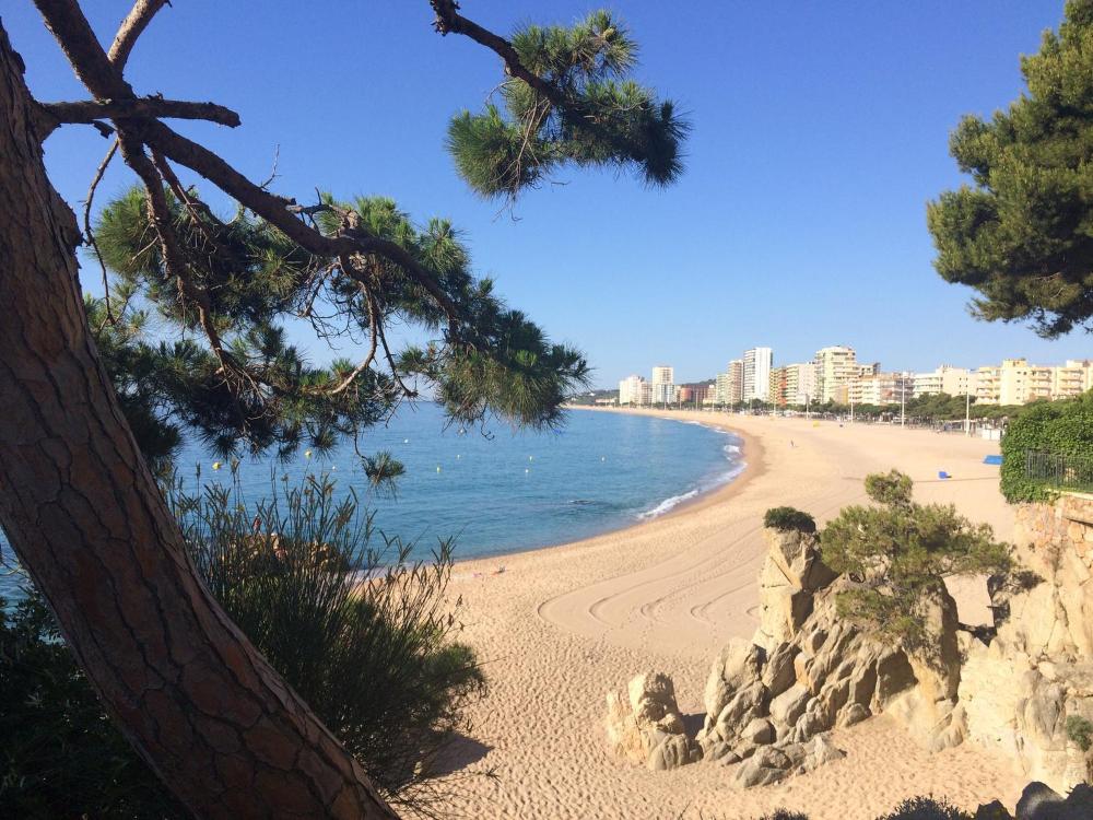 Download Plaques de platja Free HD