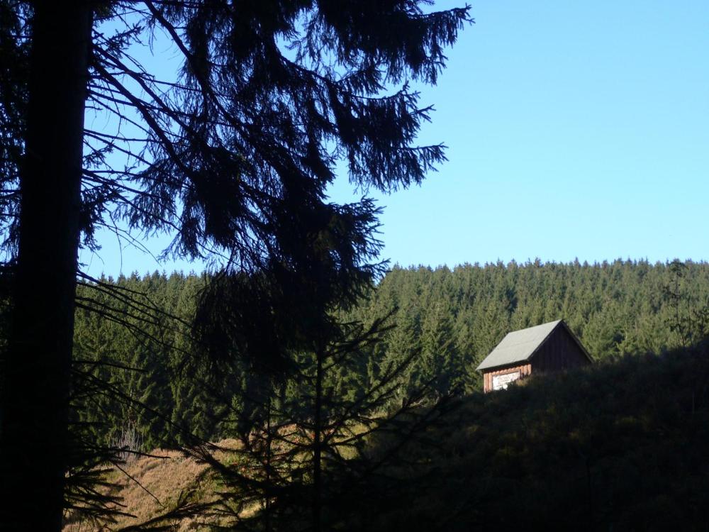 Ferienwohnungen Haus Am Karpfenteich Prices Photos Reviews