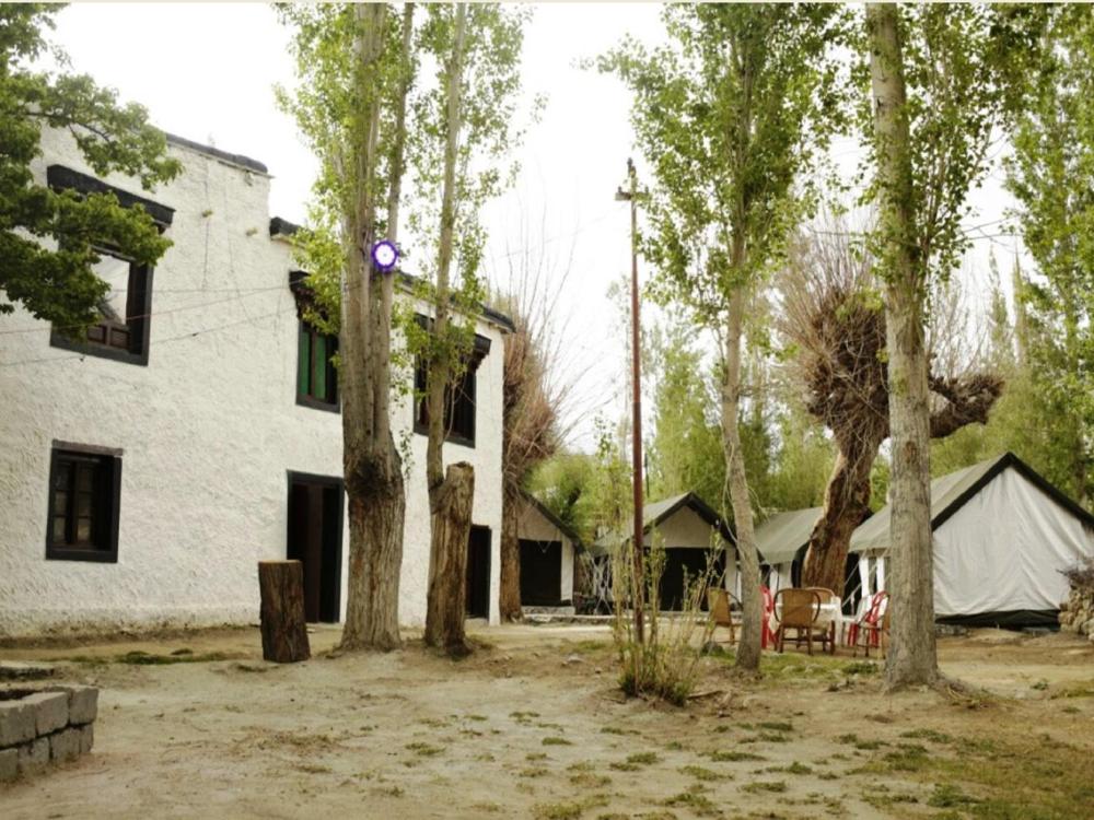 Nubra Leisure Camp
