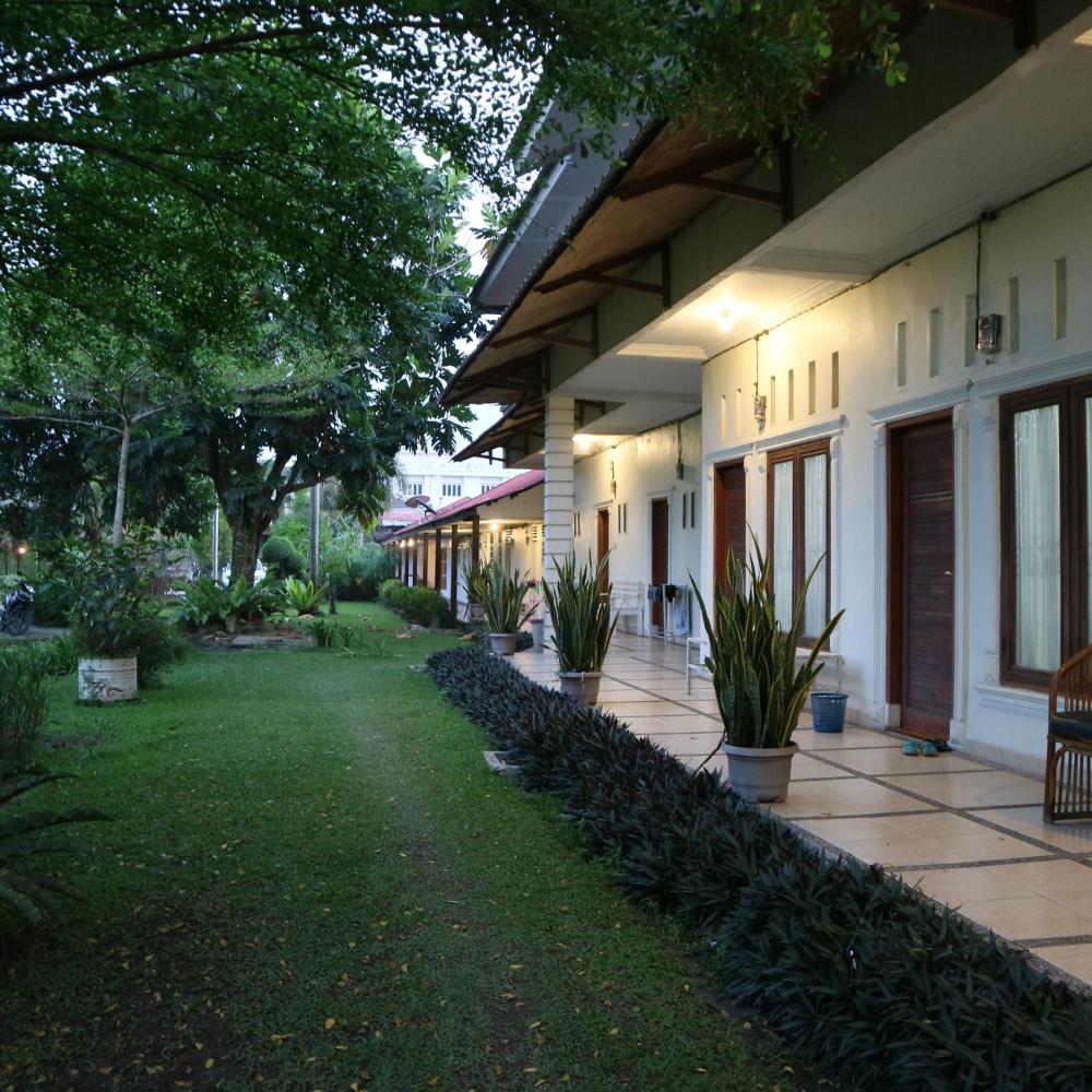 Nicot Guesthouse Harga, foto, ulasan, alamat. Indonesia
