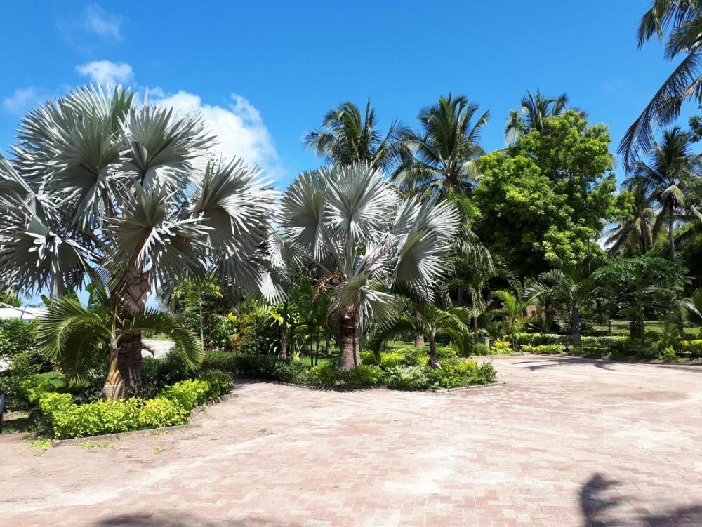 Kijiji Beach Resort Prices, photos, reviews, address. Tanzania