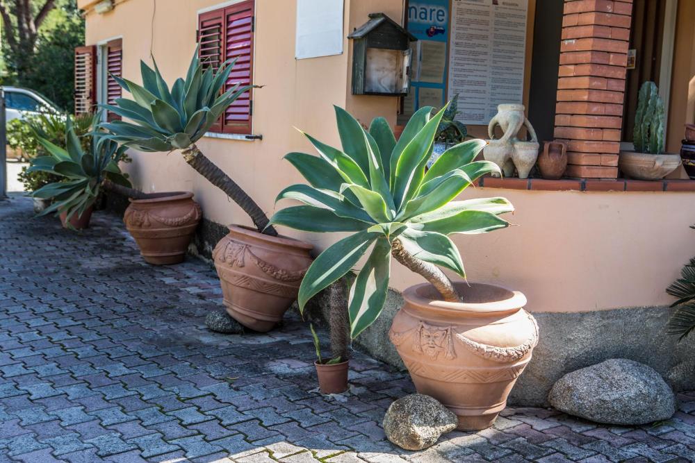 il calabriano villaggio residence