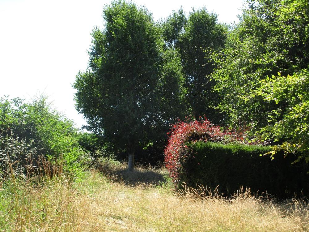 untagged