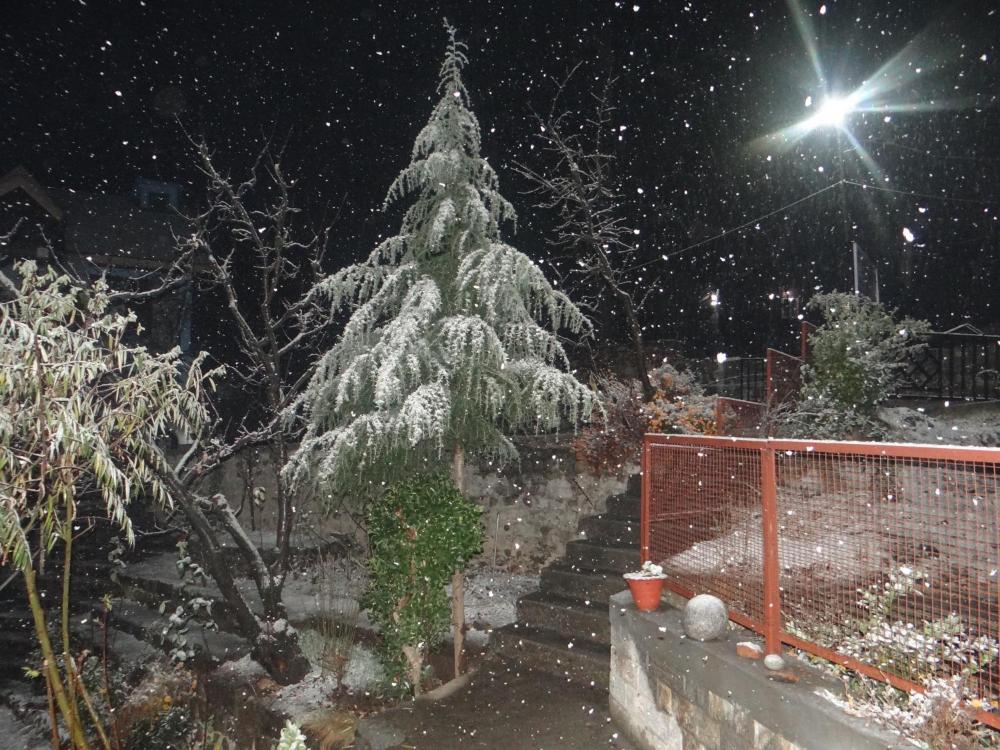 Mountain Trail Manali Hotel