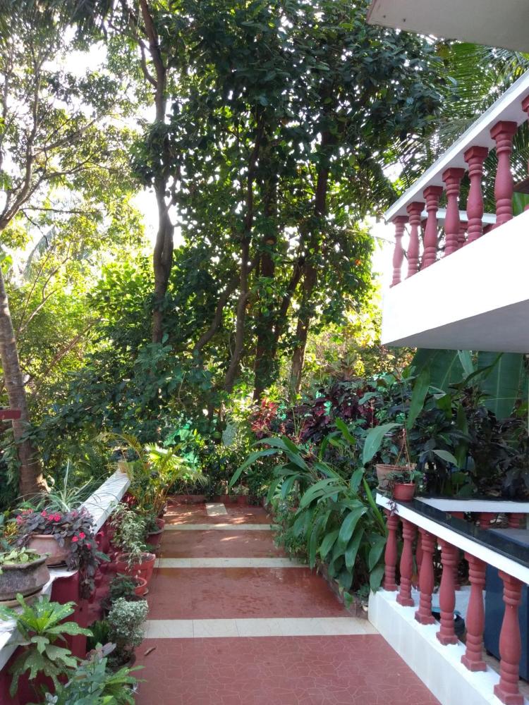 Side Image 1