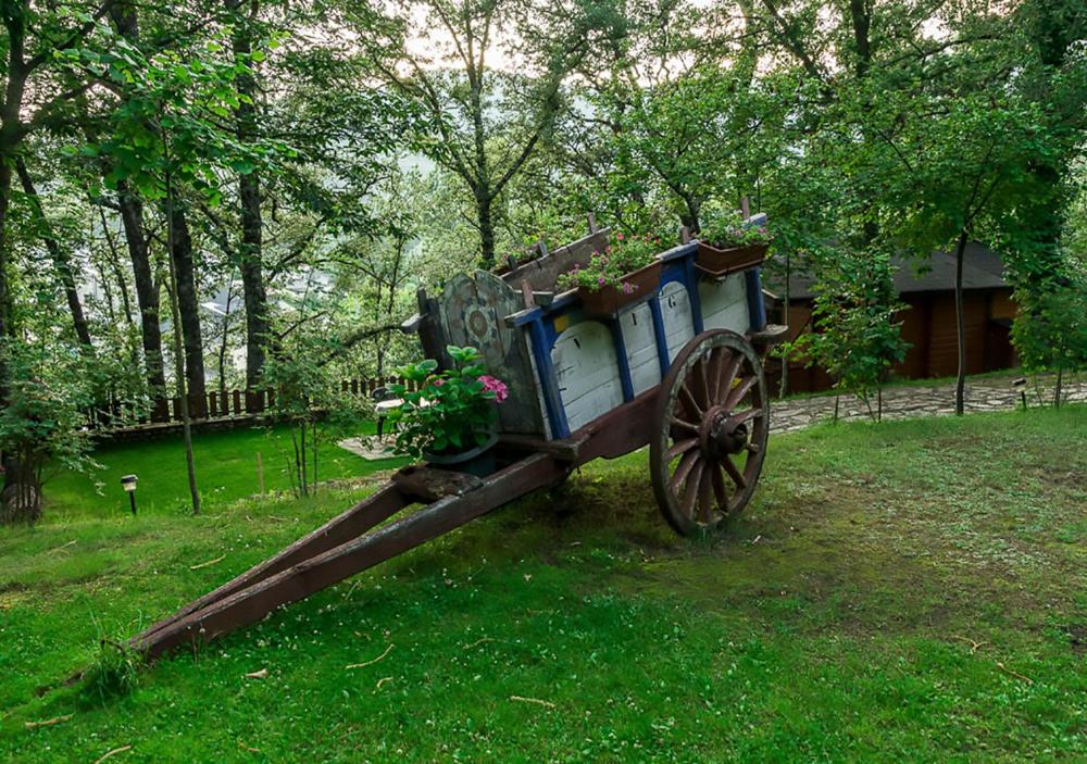 Foto - Cabañas de Madera Sanabria