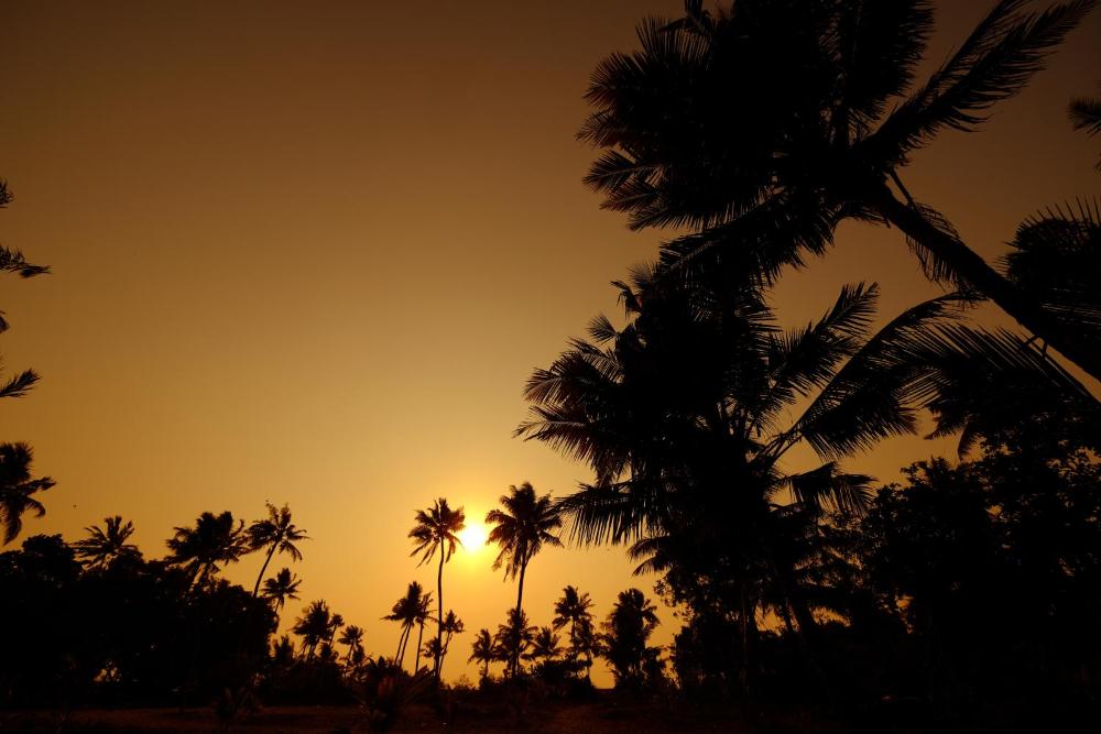 Marari Lotus Beach Villa