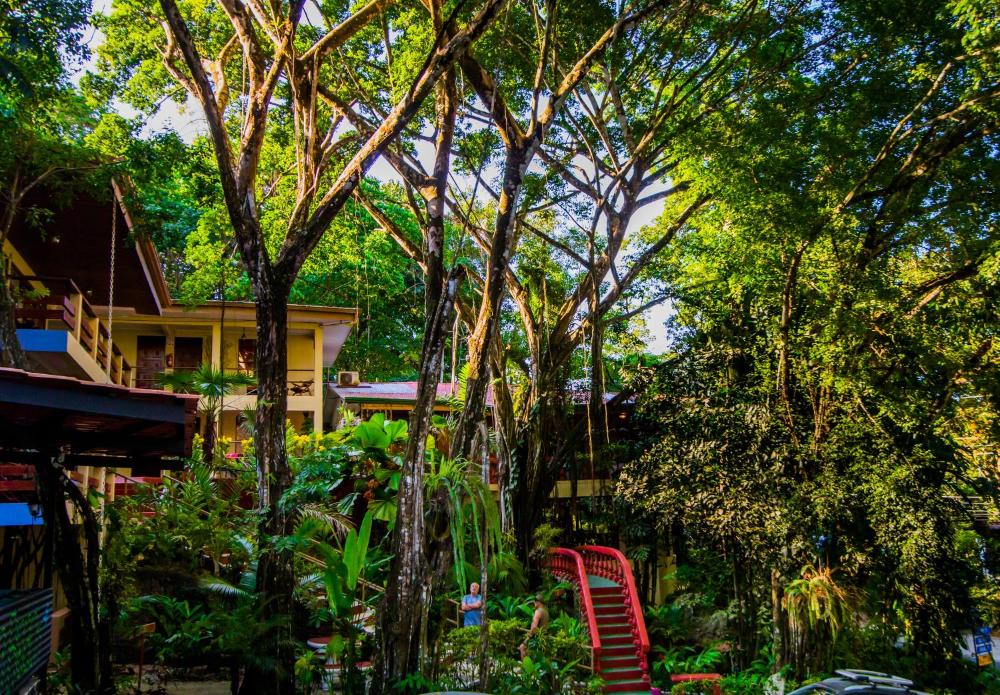 Photo - Jungle Beach Hotel Manuel Antonio