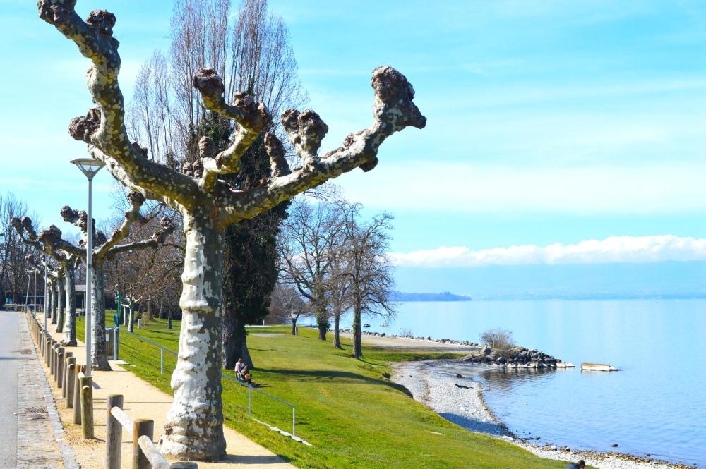 Villa Plage Chantrell Prices Photos Reviews Address France