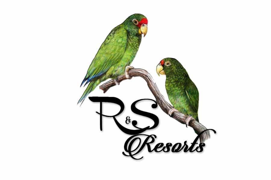 R S Resorts 価格 写真 レビュー アドレス セントルシア