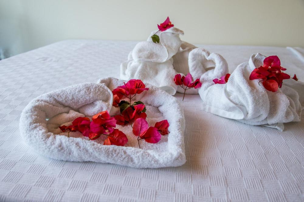 Parus Hotel Prices Photos Reviews Address Turkey - 