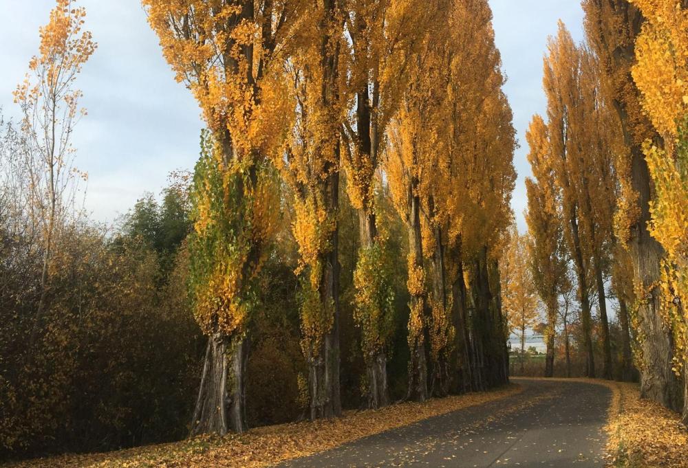 untagged