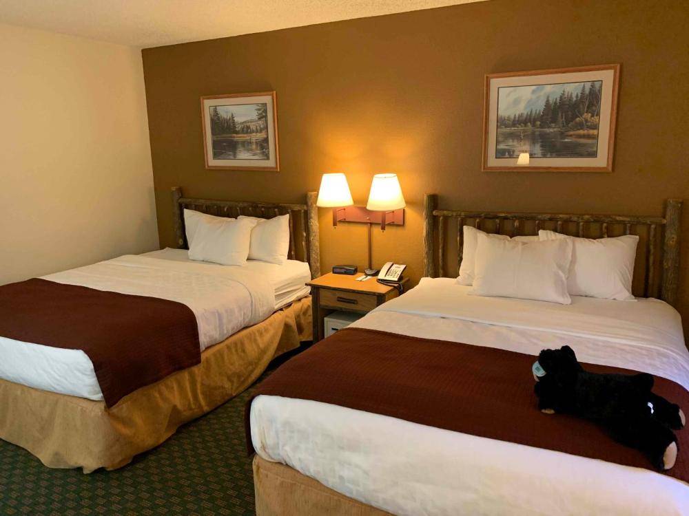 Room image 2