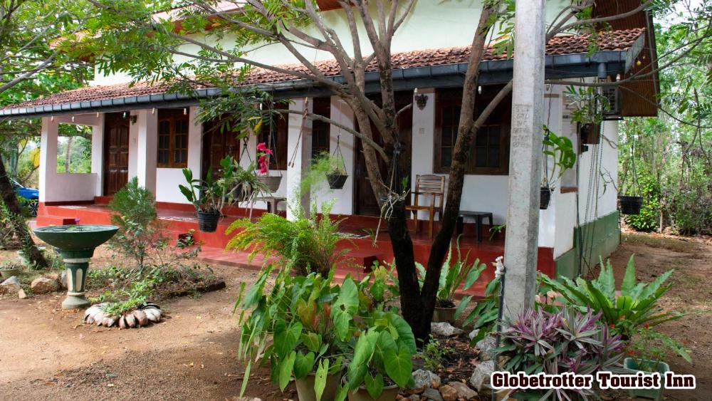 Globetrotter Tourist Inn Prices Photos Reviews Address Sri Lanka