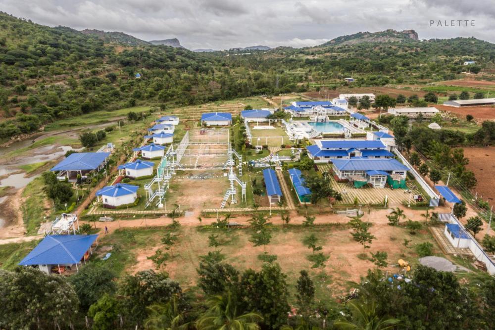 Sky Blue Orchid Prices, photos, reviews, address. India