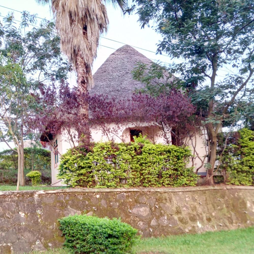 Victoria Gardens Safaris Preise Fotos Bewertungen Adresse Uganda