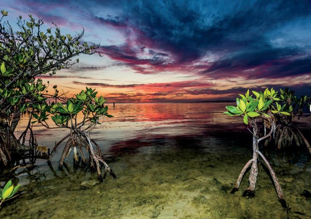 Affordable homes in Florida Keys with boat dock for 5 (Oct 28 Nov 3)