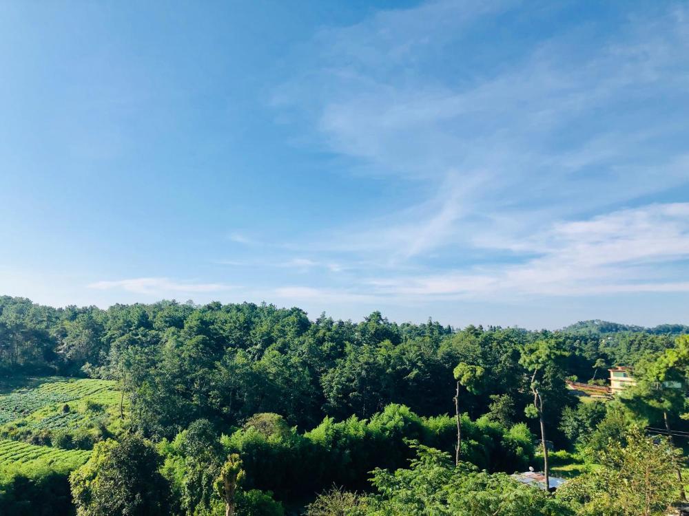 Pine Hill Home Stay