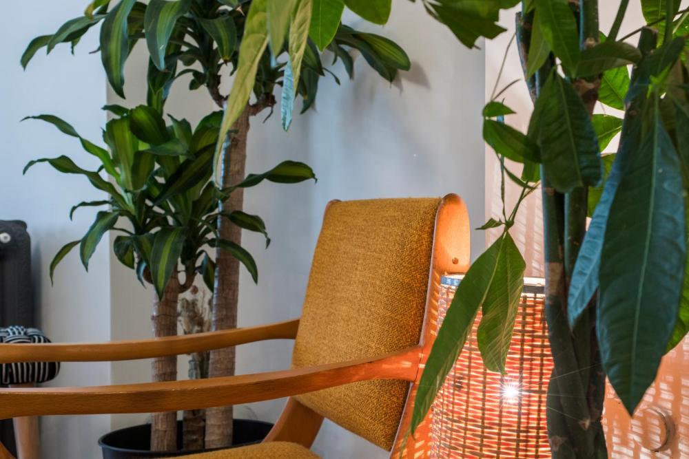 Photo - Amalia by Oval