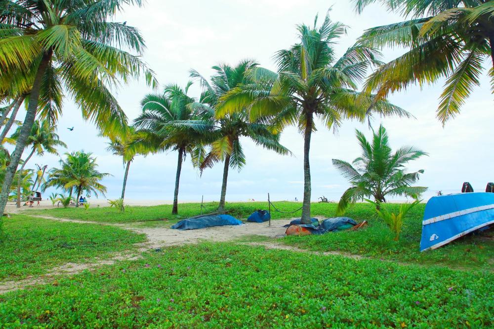Marari Nest Beach Homestay
