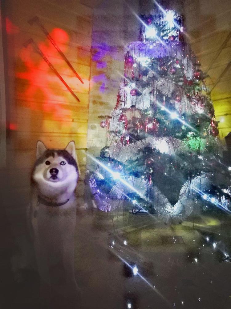 Siberia Haus Prices Photos Reviews Address Slovakia