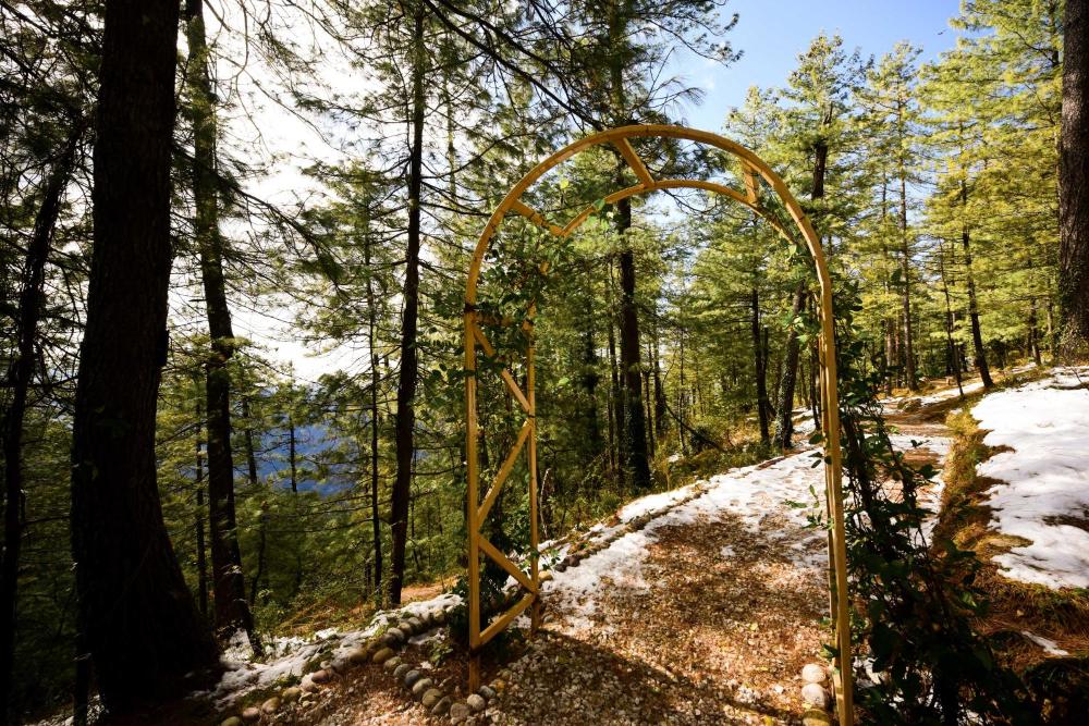 Zostel Homes Mashobra (Shimla)
