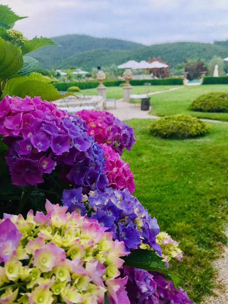 relais tenuta del gallo