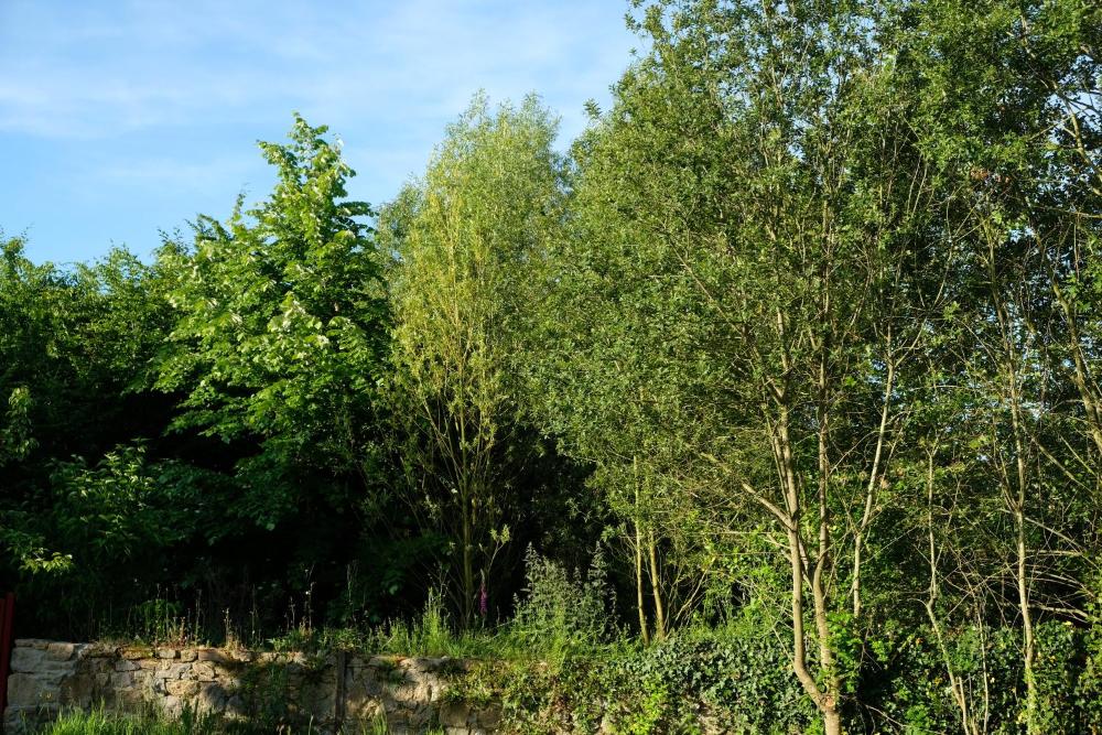 la maison jaune a la janaie