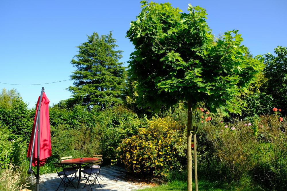 la maison jaune a la janaie