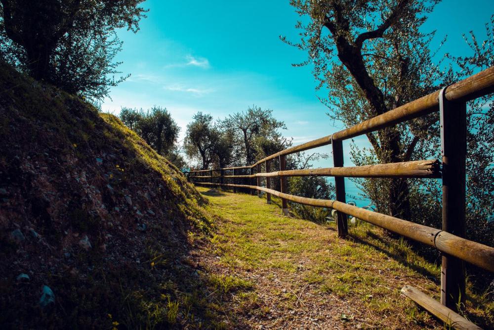 Foto - Domina Borgo degli Ulivi - Garda Lake