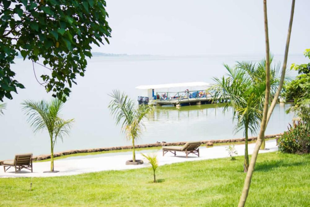 Park Shoebill Prices Photos Reviews Address Uganda Park Shoebill Prices Photos Reviews Address Uganda