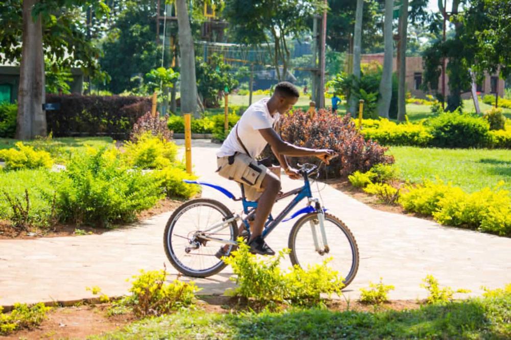 Park Shoebill Prices Photos Reviews Address Uganda Park Shoebill Prices Photos Reviews Address Uganda