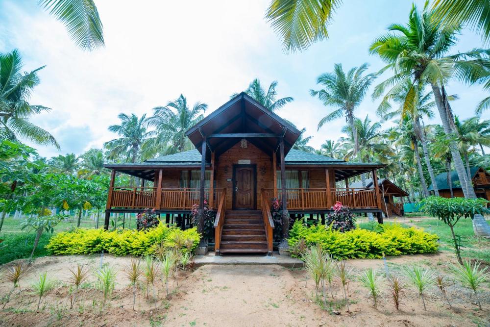 Tycoon Resort